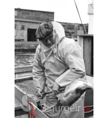 Sigurður Jóelsson.