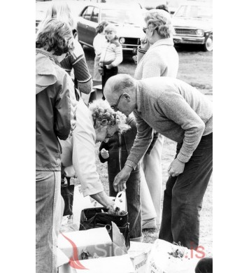 Hallgrímur blómasali.