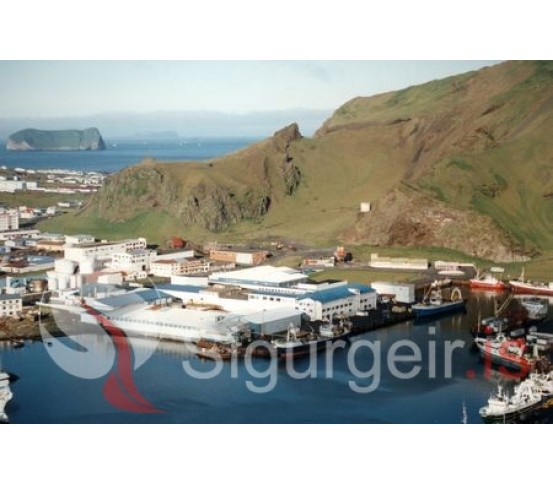 Vinnslustöð Vestmannaeyja.