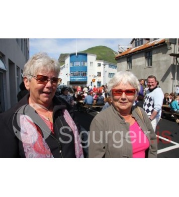 Goslokahátíð 2009.