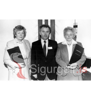 Silla í Bólstaðarhlíð, Henrý og Anna Halldórs.