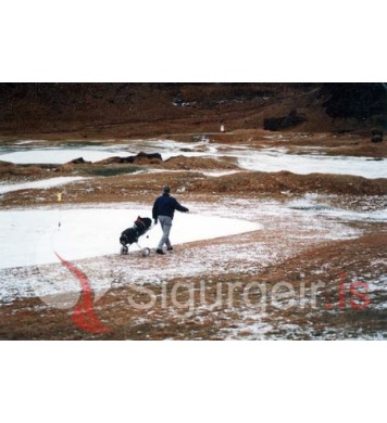 Golfklúbbur Vestmannaeyja.