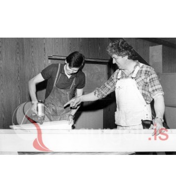 Gústi Halldórs og Óli Gränz.