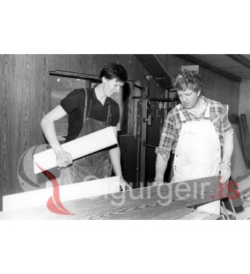 Gústi Halldórs og Óli Gränz.