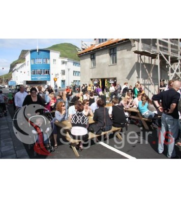 Goslokahátíð 2009.