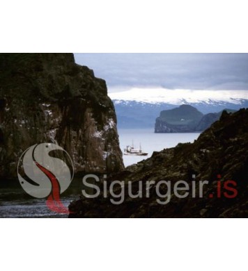Sigurður VE-15.
