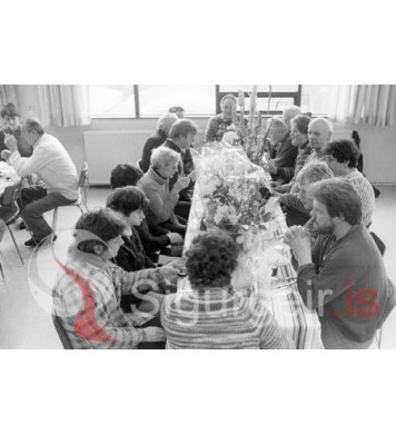 Vinnslutöð Vestmannaeyja.