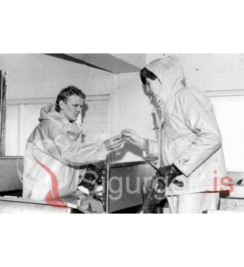 Við tökur á kvikmyndinni Nýtt líf.