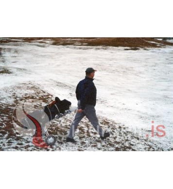 Golfklúbbur Vestmannaeyja.