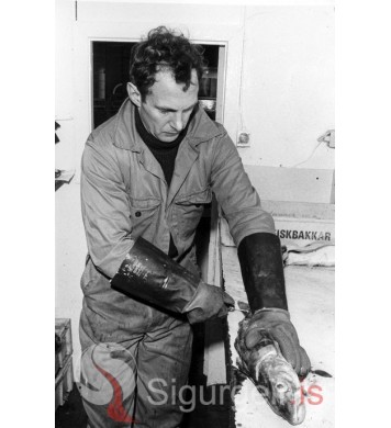 Jón Ingi,  fisksali.