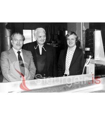 Tryggvi, Friðþór og Halldór.