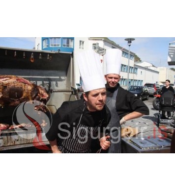 Goslokahátíð 2009.