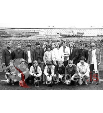 Danmerkurfarar Þórs.