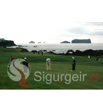 Golfvöllurinn í Vestmannaeyjum.