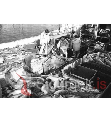 Um borð í Freyju RE-38.