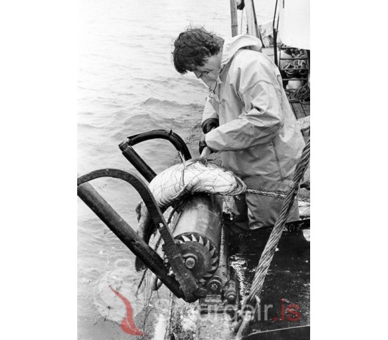 Um borð í Leó VE-400.