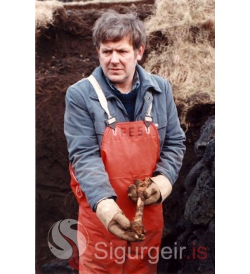 Óli Þór Alfreðs. 