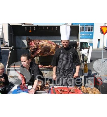 Goslokahátíð 2009.