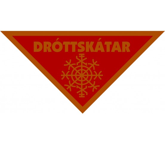 Courtscouts badge - bronze