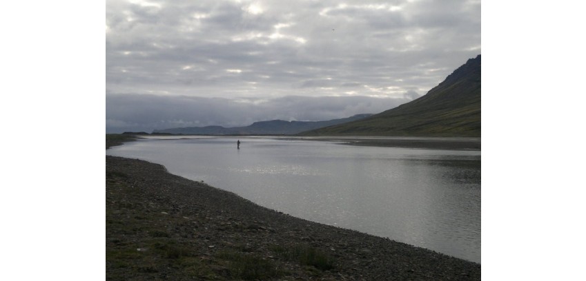 Norðfjarðará 2016 lokatölur